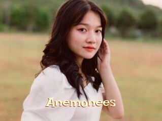Anemonees 1 bonnasse