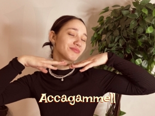 Accagammell
