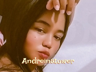 Andreinatower