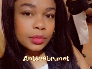 Antarabrunet
