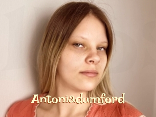 Antoniadumford