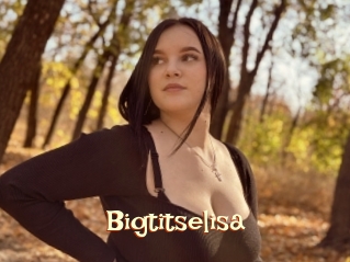 Bigtitselisa