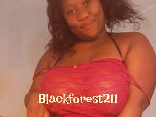 Blackforest211