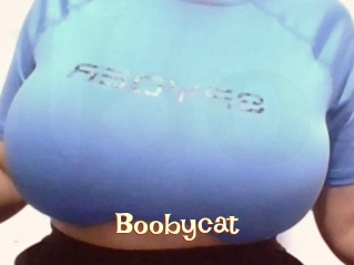 Boobycat