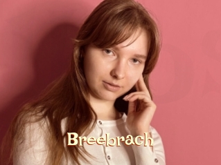 Breebrach