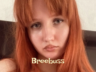 Breebuss