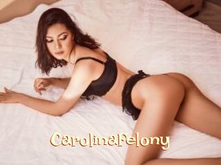 CarolinaFelony