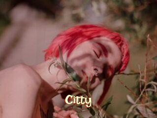 Citty