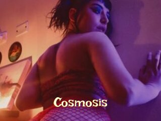 Cosmosis