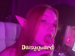 daisyguard 1 bonnasse