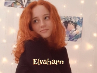 elvaharn 1 bonnasse