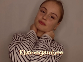 Elwinegambee