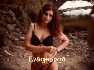 Evageorga