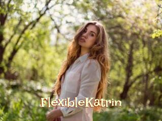 FlexibleKatrin