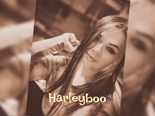 Harleyboo