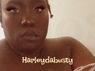 Harleydabusty