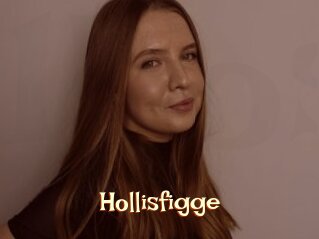 Hollisfigge