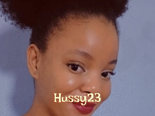 Hussy23