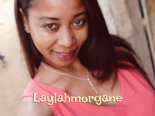 Laylahmorgane