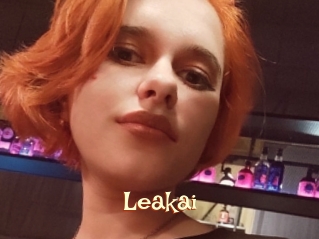 Leakai