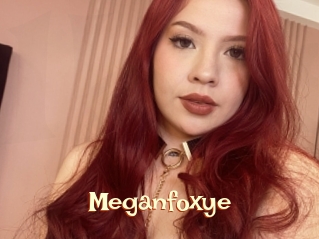 meganfoxye 1 bonnasse