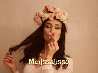 Meilssalissa