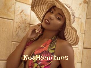 NoaHamiltons
