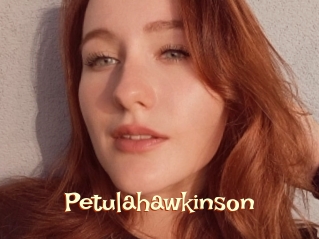 Petulahawkinson