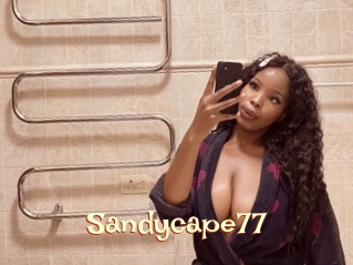 Sandycape77