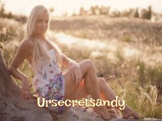 Ursecretsandy