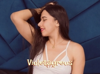 Violetagreus