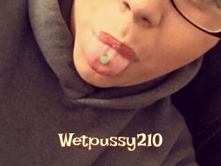 Wetpussy210