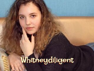 Whitneydiligent