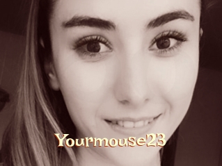 Yourmouse23