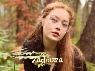 Zadnizza
