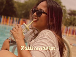 Zattinmartin