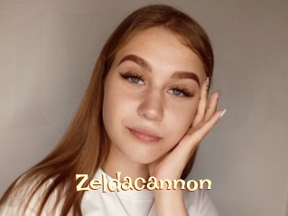 Zeldacannon