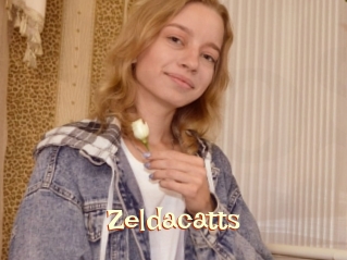 Zeldacatts